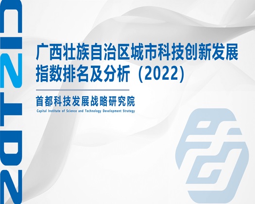 日嫩屄小电影【成果发布】广西壮族自治区城市科技创新发展指数排名及分析（2022）